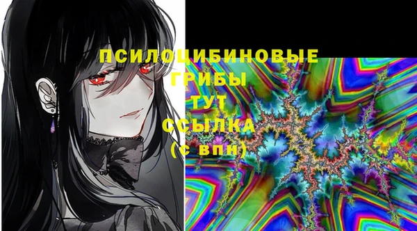 гидропоника Аркадак